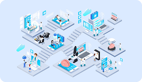 bridge interface definition